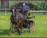 1POSIEUX 0312